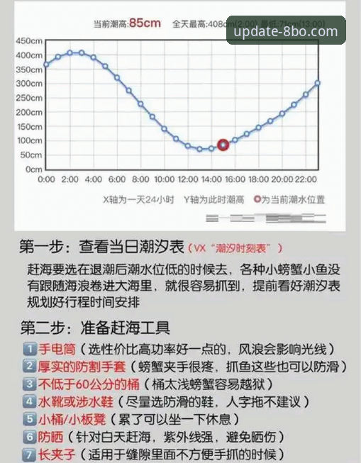 8博体育平台下载使用完整指南：从新手到高手的实用经验分享